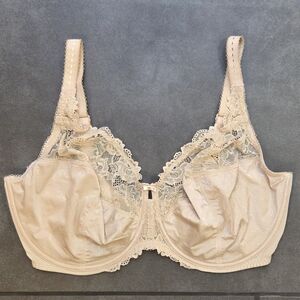 Delimira Underwire Bra 40I